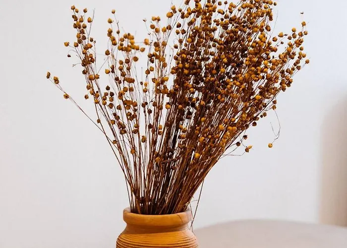 Huswell - Modern Renovated In The Vibrant Heart Of * Gandawa